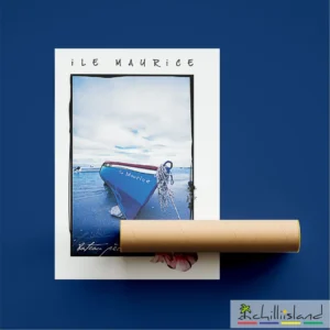 boat ile maurice