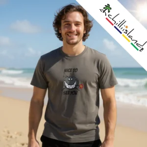 Smiling man on a beach wears a gray Chilliisland T-shirt with a cartoon shark and "Nice to See You" text. Logo "Chillisland" at the top right. Relaxed, sunny vibe.