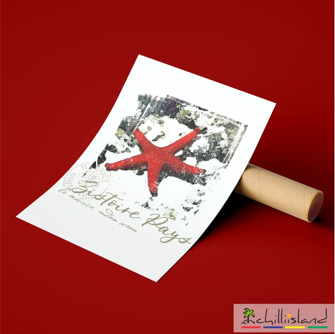 A Chilliisland poster featuring a red starfish on a textured background, with elegant text. It's partially unfurled beside a cardboard tube on a red surface.