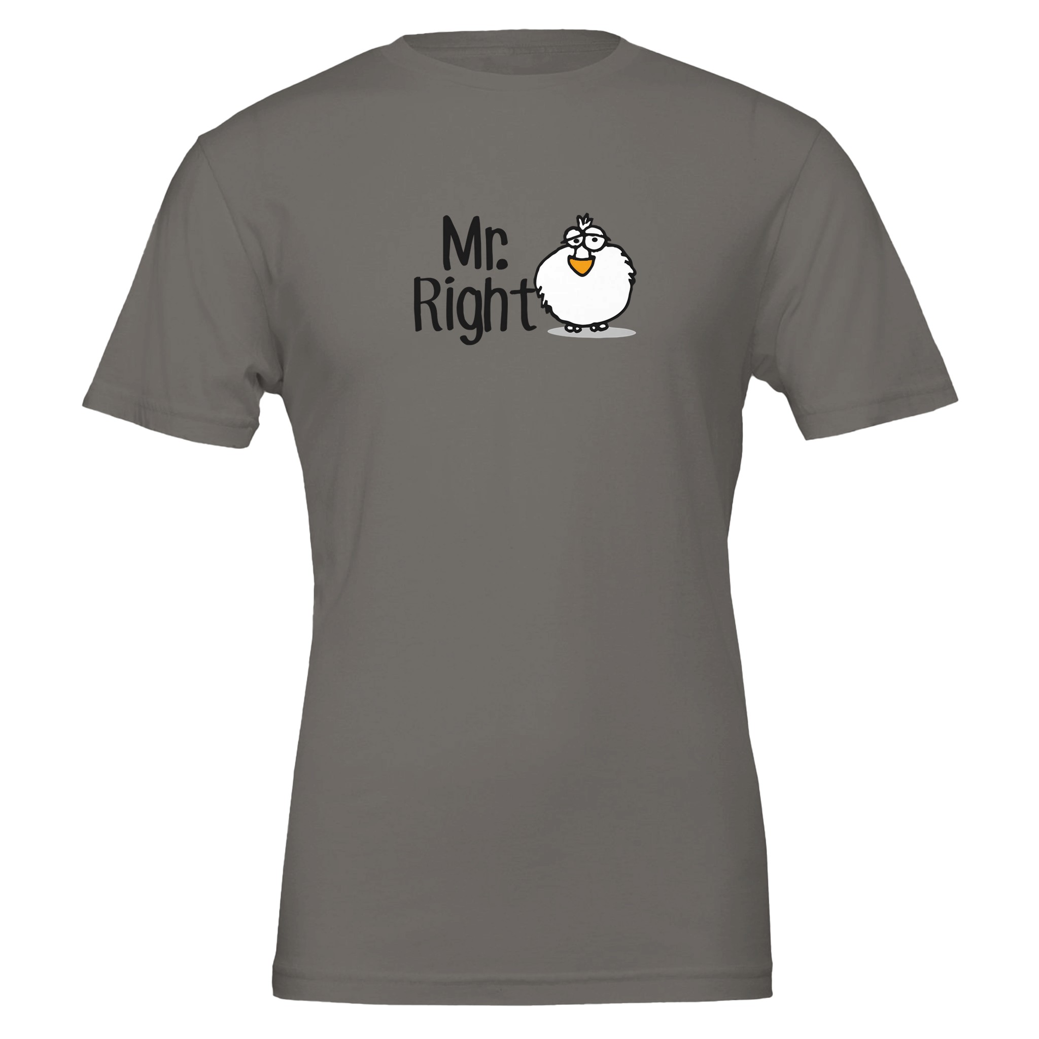 D. Grey Chilliisland t-shirt featuring a cartoon Dodo and the text "Mr. always Right" in playful typography.