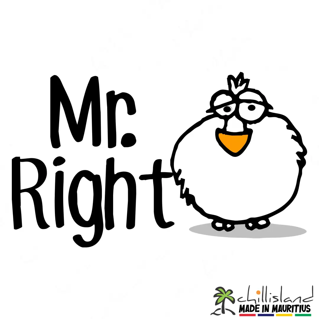 Cartoon Dodo mauritius character with a round body, smiling, next to the text “Mr. Right,” with a logo beneath reading “Chill Island, Made in Mauritius.” from Chilliisland